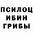 Галлюциногенные грибы Cubensis Dart Agnan
