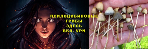 ПСИЛОЦИБИНОВЫЕ ГРИБЫ Покровск