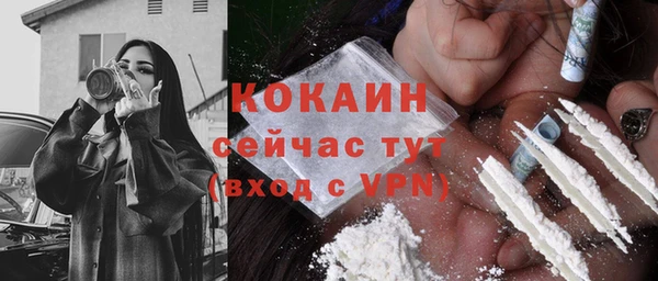 стаф Балахна