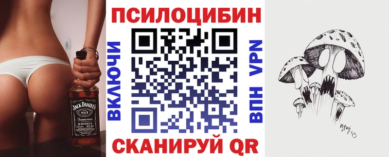 Псилоцибиновые грибы Psilocybine cubensis  Заозёрск 